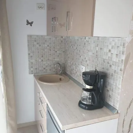 Apartament Studio Gul Mona *